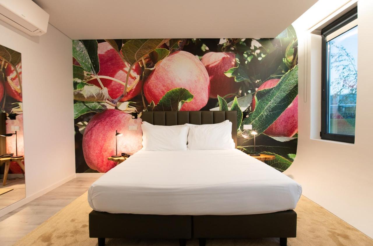 Grapple Hotel & Spa Carrazeda de Anciães Dış mekan fotoğraf
